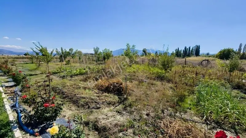 Gölhisar Gmyo Arkasında 1160 M² Tarla İçinde 1+1full Hazır Bahçe — fotoğraf 9