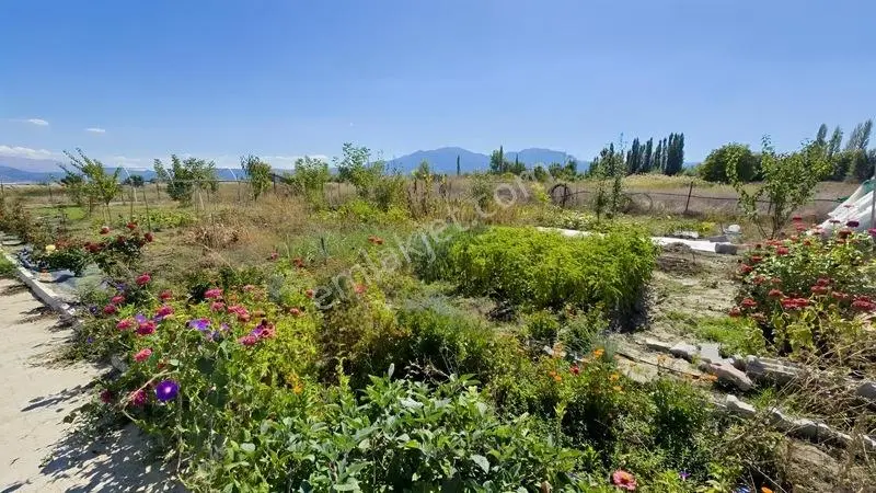 Gölhisar Gmyo Arkasında 1160 M² Tarla İçinde 1+1full Hazır Bahçe — fotoğraf 10