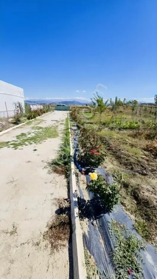 Gölhisar Gmyo Arkasında 1160 M² Tarla İçinde 1+1full Hazır Bahçe — fotoğraf 11