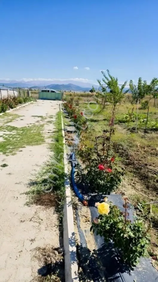 Gölhisar Gmyo Arkasında 1160 M² Tarla İçinde 1+1full Hazır Bahçe — fotoğraf 12