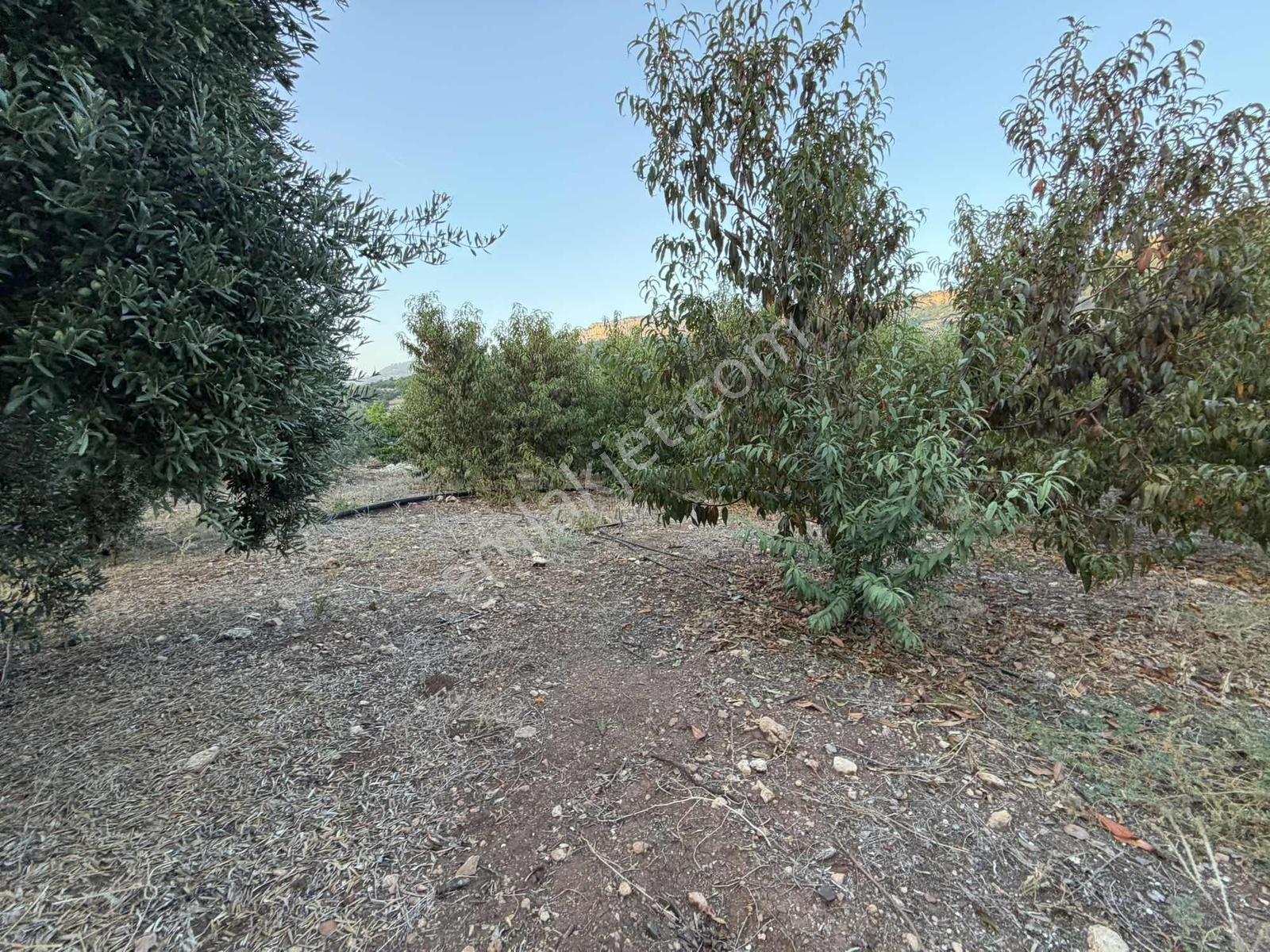 New Form'dan Yenişehir Değirmençay'da Satılık Bahçe — fotoğraf 7