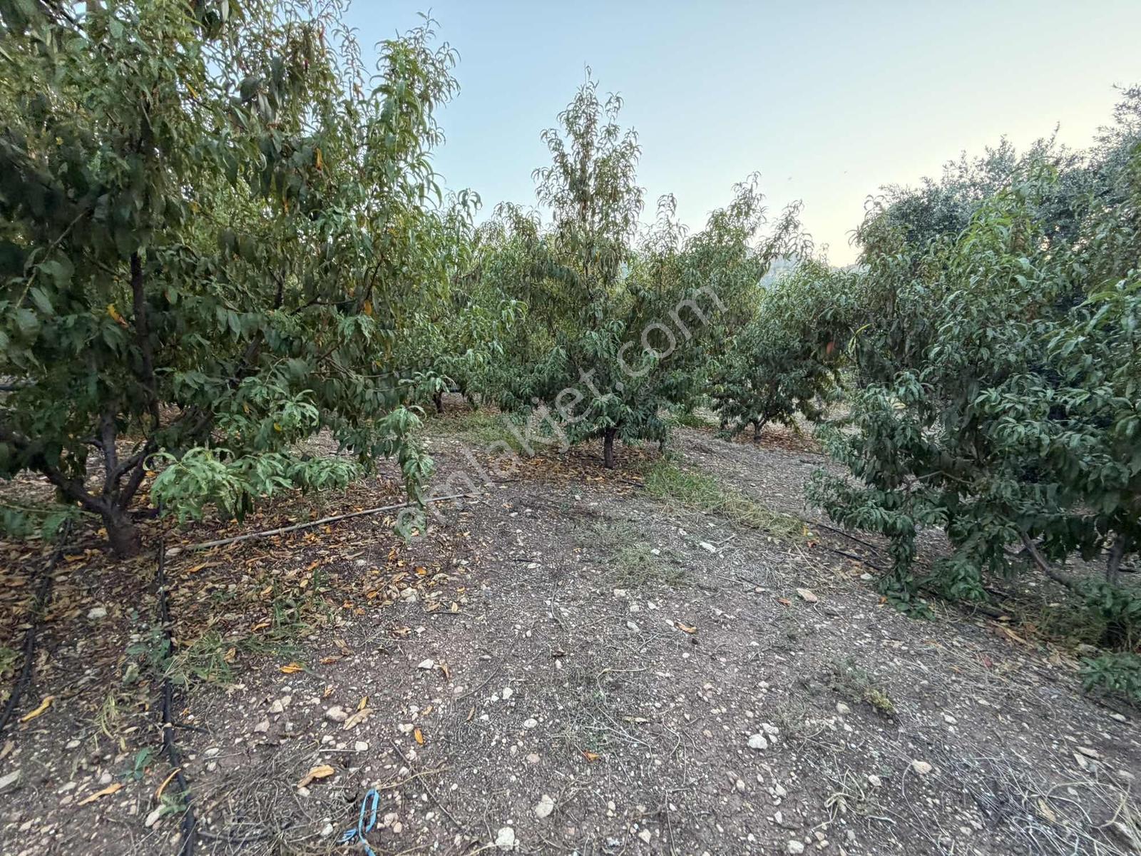 New Form'dan Yenişehir Değirmençay'da Satılık Bahçe — fotoğraf 10