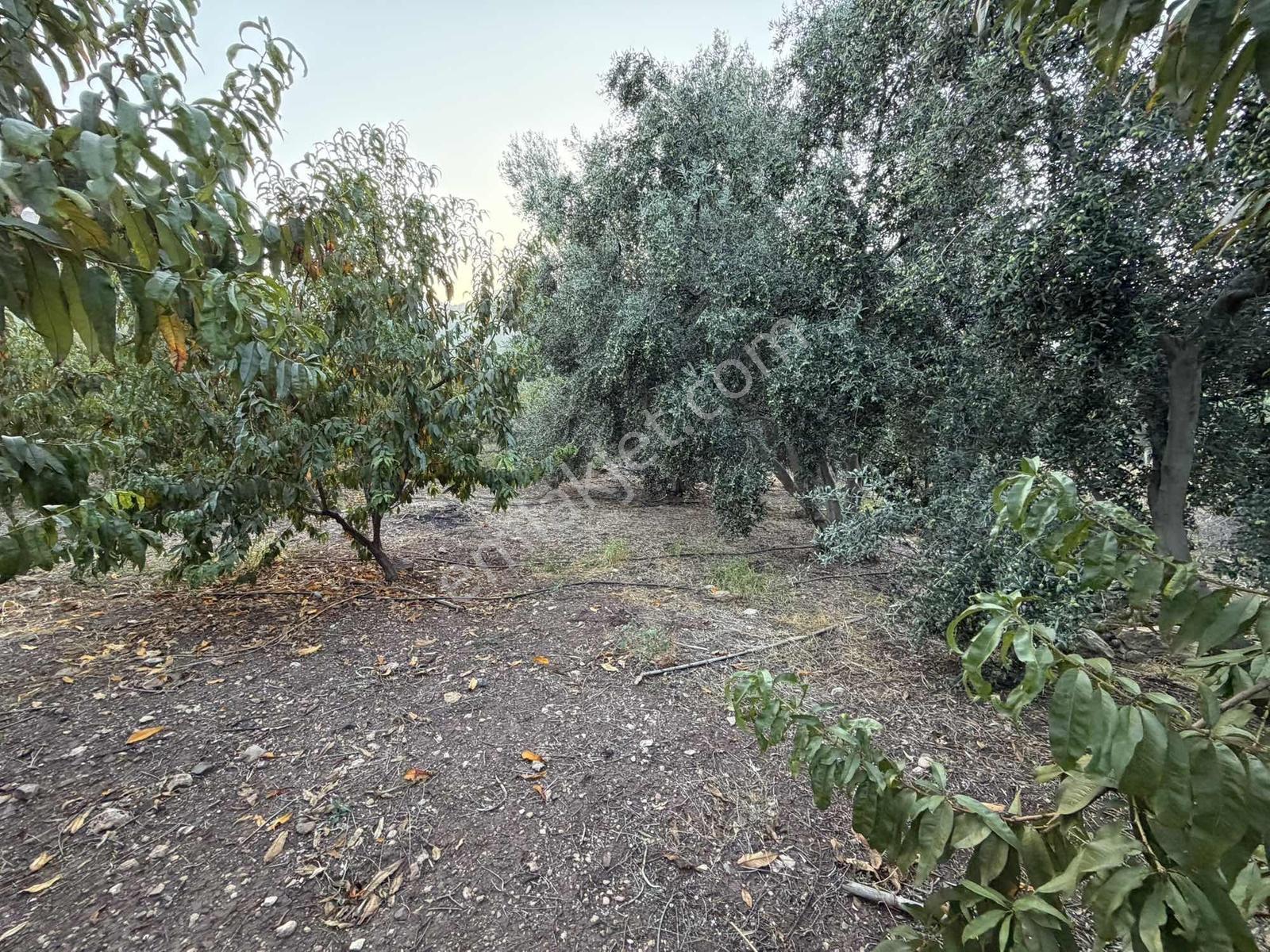 New Form'dan Yenişehir Değirmençay'da Satılık Bahçe — fotoğraf 11
