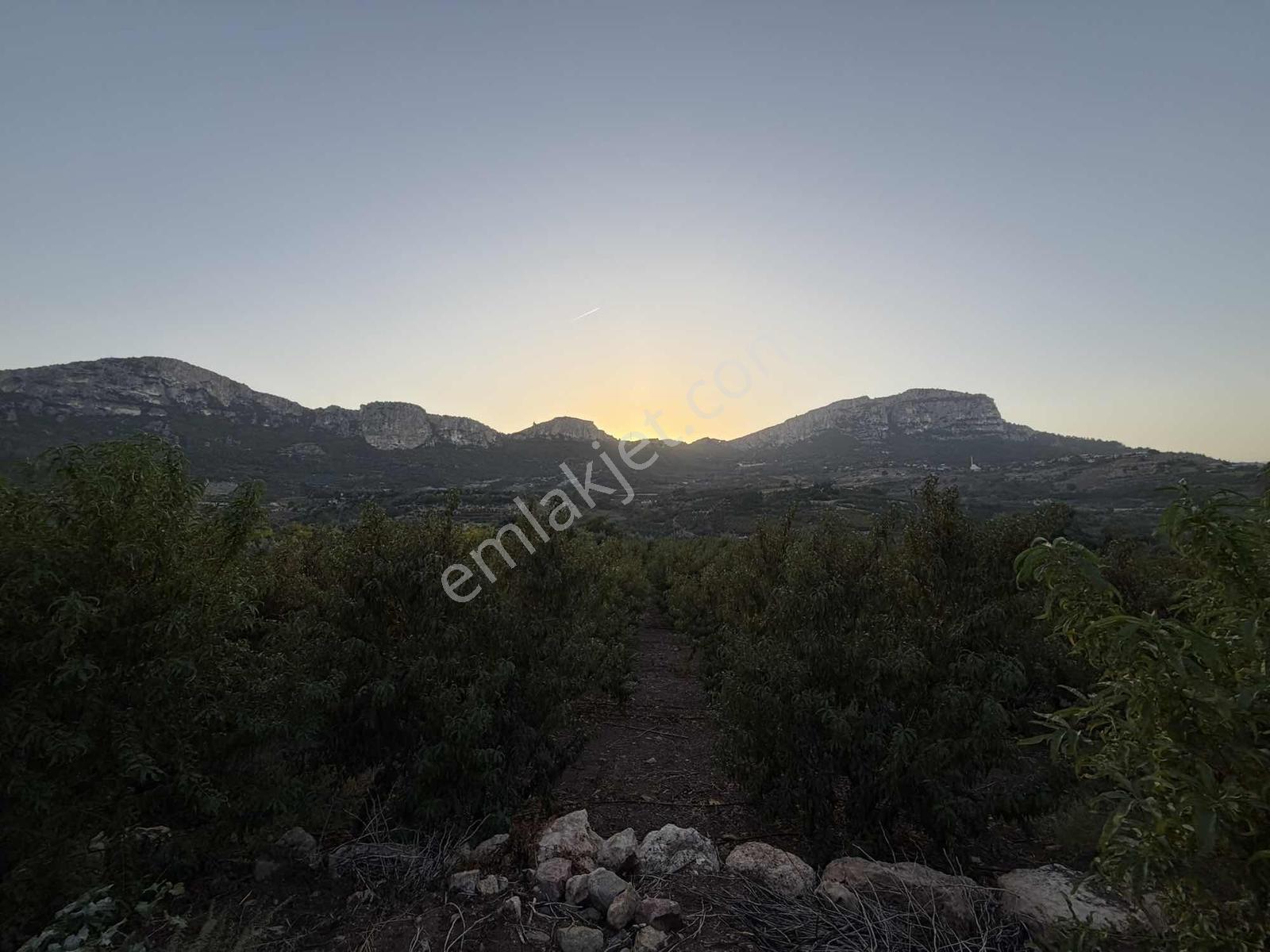 New Form'dan Yenişehir Değirmençay'da Satılık Bahçe — fotoğraf 15
