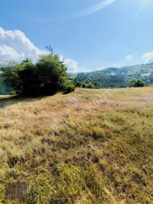 Emlakkent!ten Tek Tapu Acil Uygun Fiyatlı Fırsat Tarla — fotoğraf 2