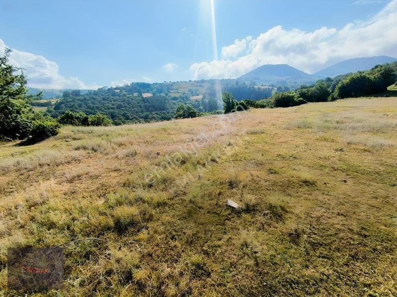 Emlakkent!ten Tek Tapu Acil Uygun Fiyatlı Fırsat Tarla — fotoğraf 3