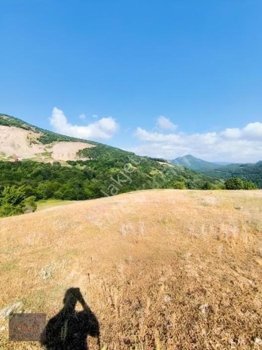 Emlakkent!ten Tek Tapu Acil Uygun Fiyatlı Fırsat Tarla — fotoğraf 4