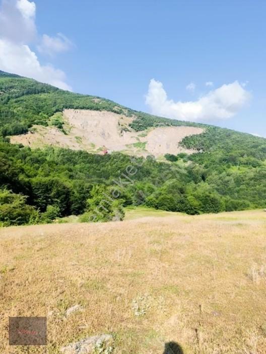 Emlakkent!ten Tek Tapu Acil Uygun Fiyatlı Fırsat Tarla — fotoğraf 5