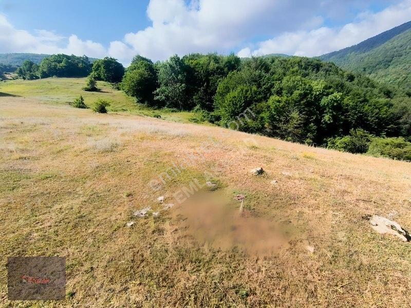 Emlakkent!ten Tek Tapu Acil Uygun Fiyatlı Fırsat Tarla — fotoğraf 6