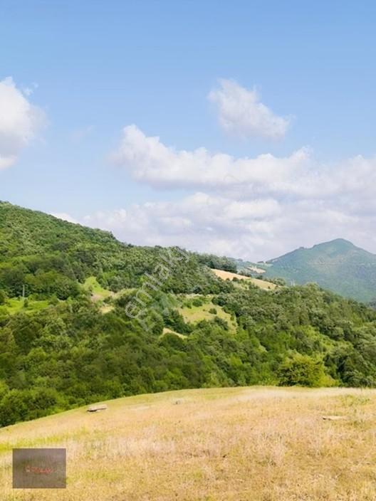Emlakkent!ten Tek Tapu Acil Uygun Fiyatlı Fırsat Tarla — fotoğraf 7