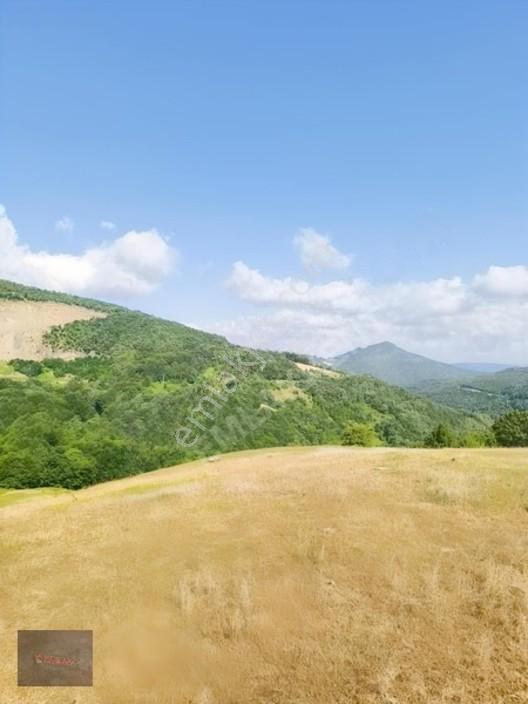 Emlakkent!ten Tek Tapu Acil Uygun Fiyatlı Fırsat Tarla — fotoğraf 8