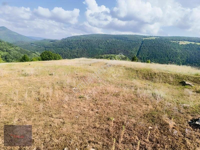 Emlakkent!ten Tek Tapu Acil Uygun Fiyatlı Fırsat Tarla — fotoğraf 9
