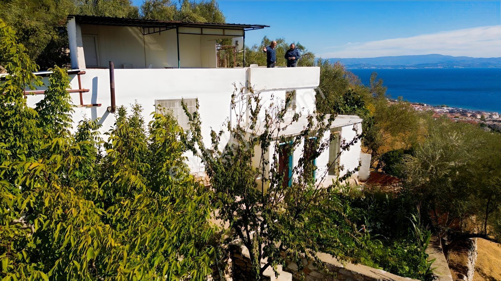 Gfa Gruptan Altınolukta Panoramik Deniz Manzaralı Doğal Alan — fotoğraf 4