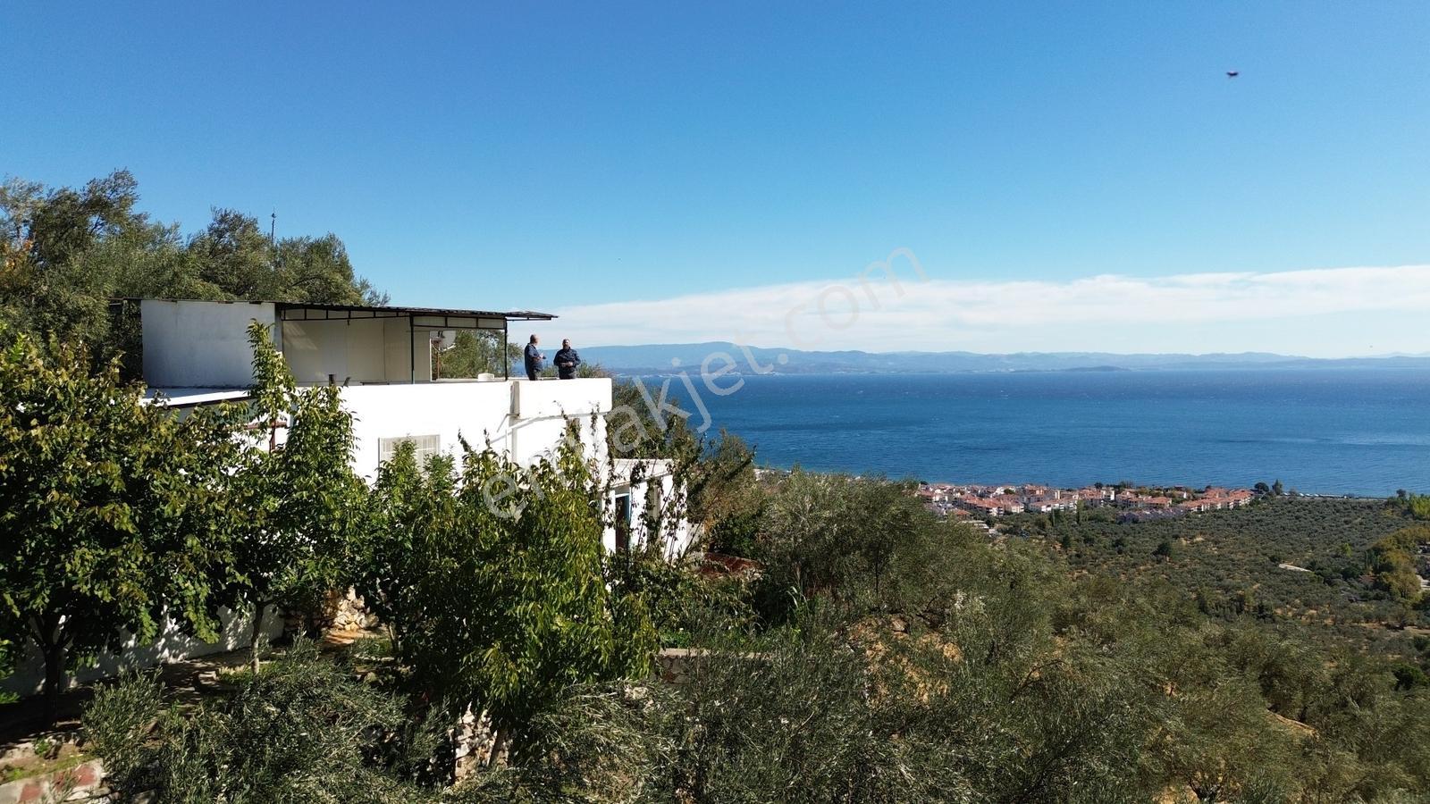 Gfa Gruptan Altınolukta Panoramik Deniz Manzaralı Doğal Alan — fotoğraf 5
