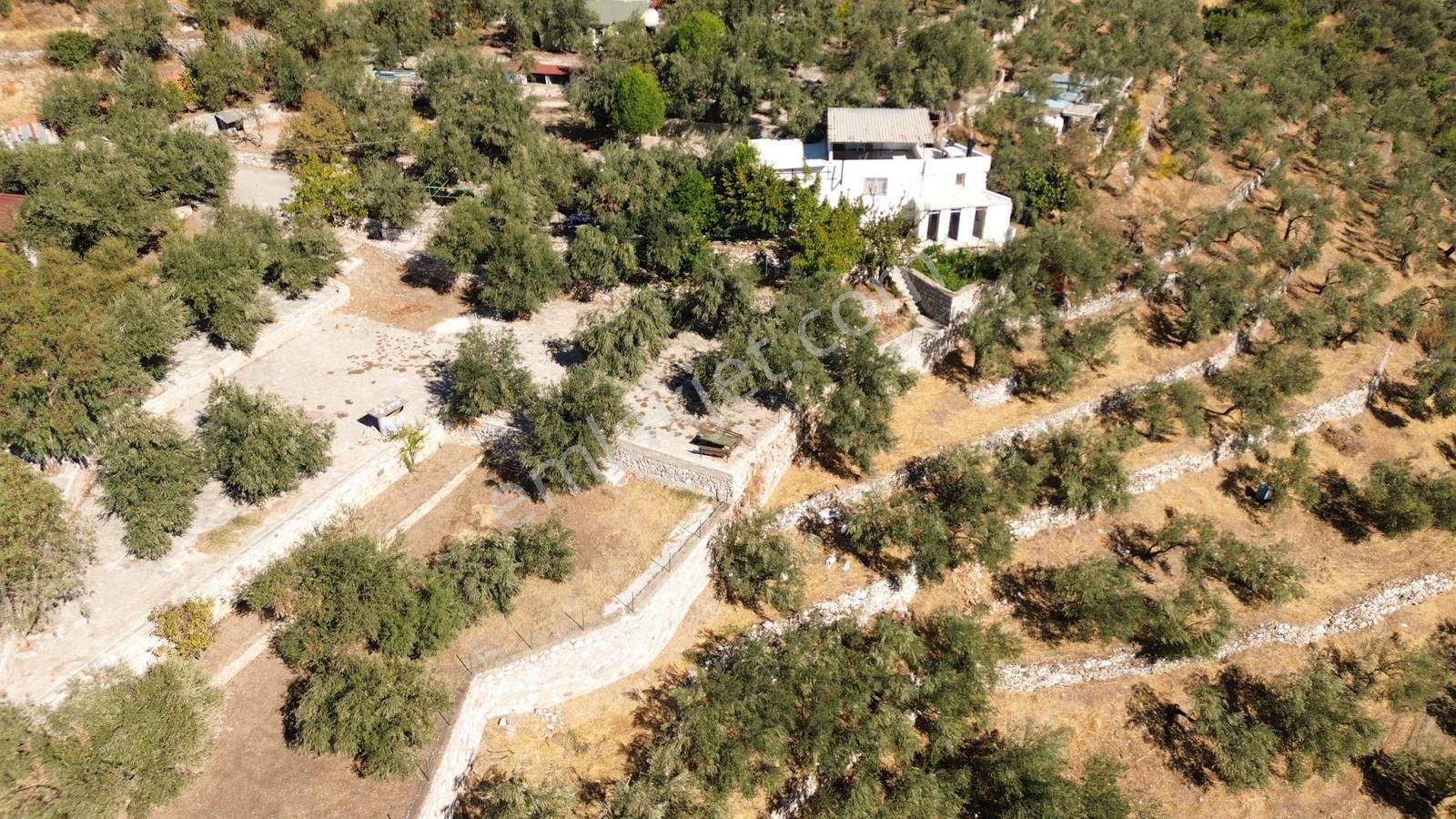 Gfa Gruptan Altınolukta Panoramik Deniz Manzaralı Doğal Alan — fotoğraf 6