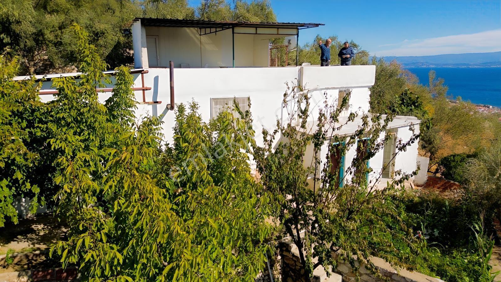 Gfa Gruptan Altınolukta Panoramik Deniz Manzaralı Doğal Alan — fotoğraf 8