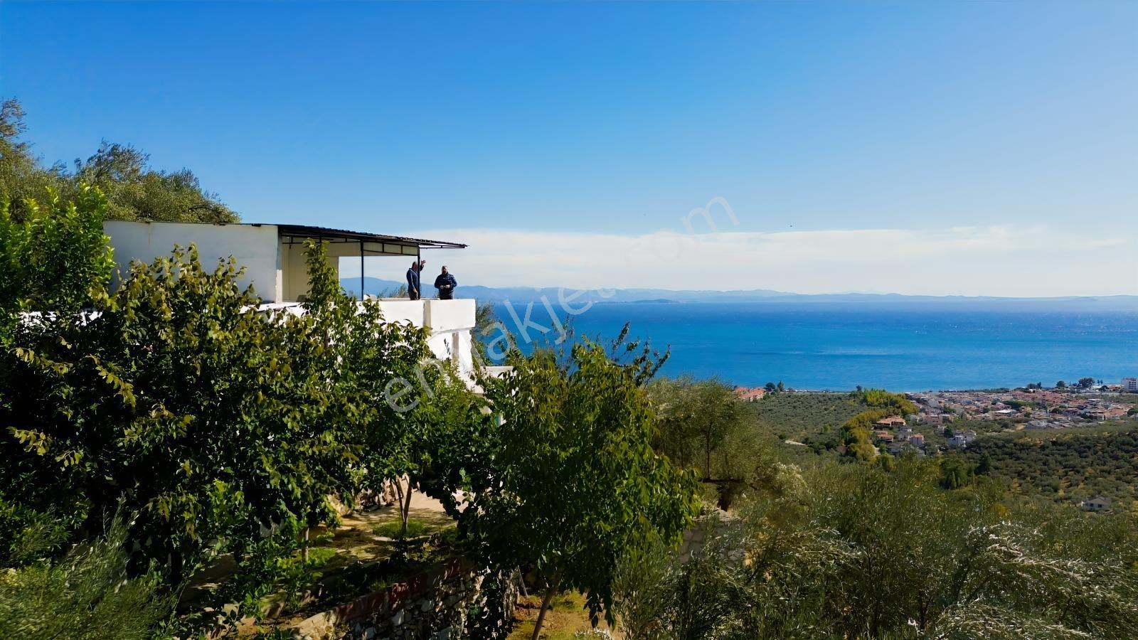 Gfa Gruptan Altınolukta Panoramik Deniz Manzaralı Doğal Alan — fotoğraf 9
