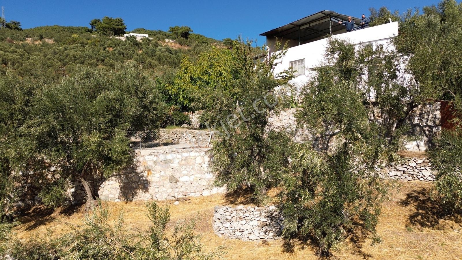 Gfa Gruptan Altınolukta Panoramik Deniz Manzaralı Doğal Alan — fotoğraf 10