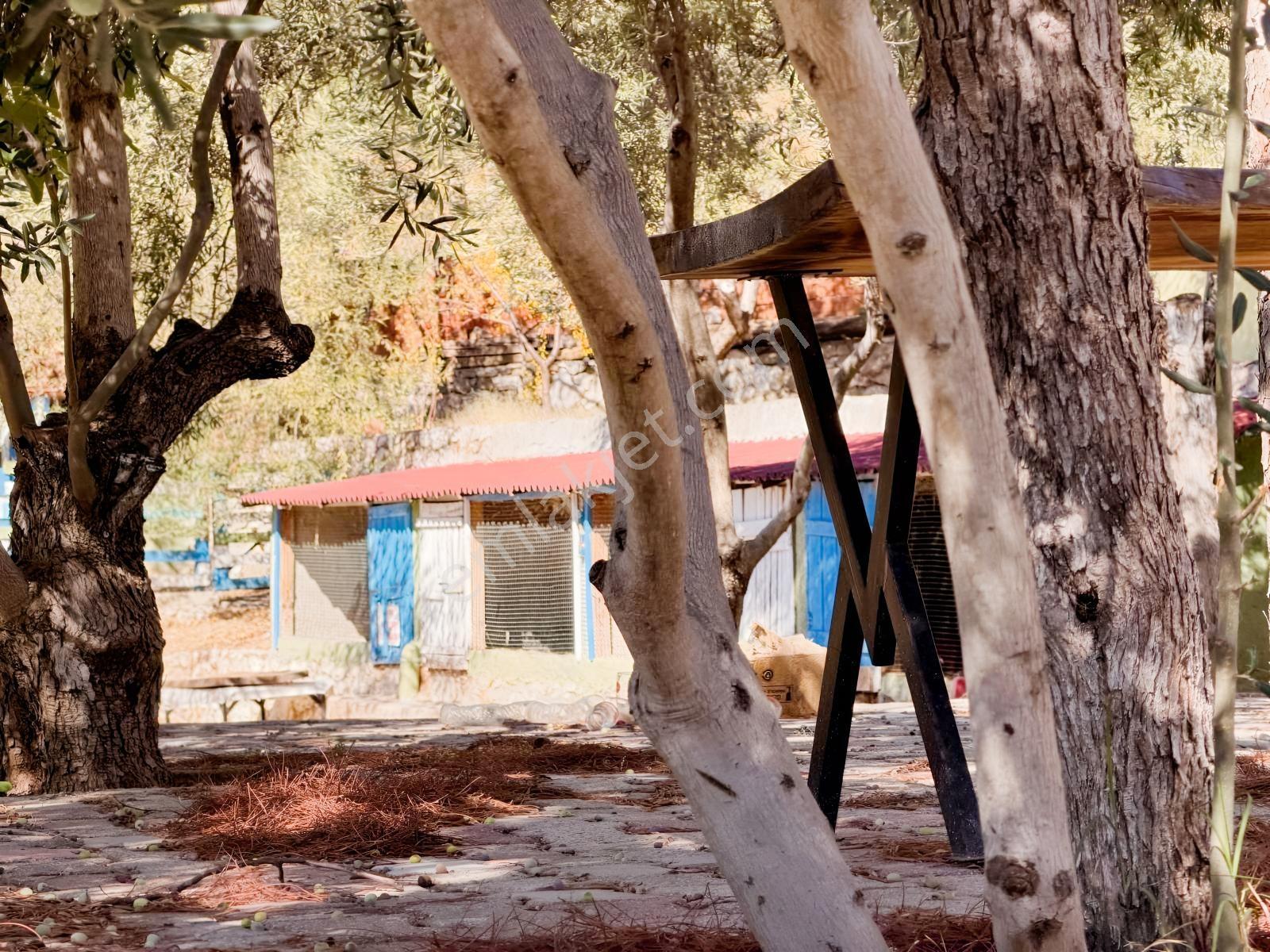 Gfa Gruptan Altınolukta Panoramik Deniz Manzaralı Doğal Alan — fotoğraf 11