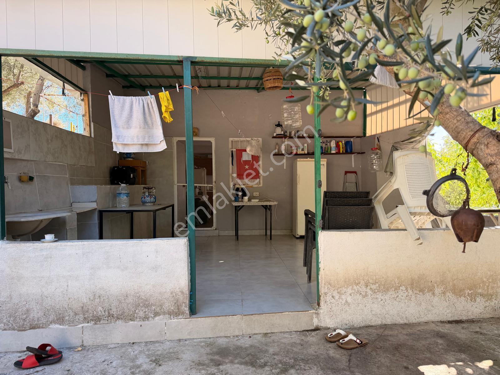 Gfa Gruptan Altınolukta Panoramik Deniz Manzaralı Doğal Alan — fotoğraf 16