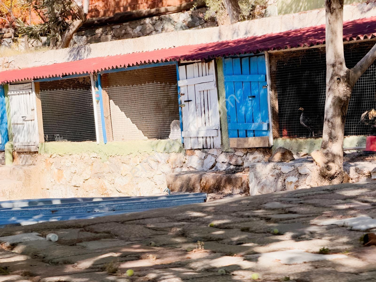 Gfa Gruptan Altınolukta Panoramik Deniz Manzaralı Doğal Alan — fotoğraf 19
