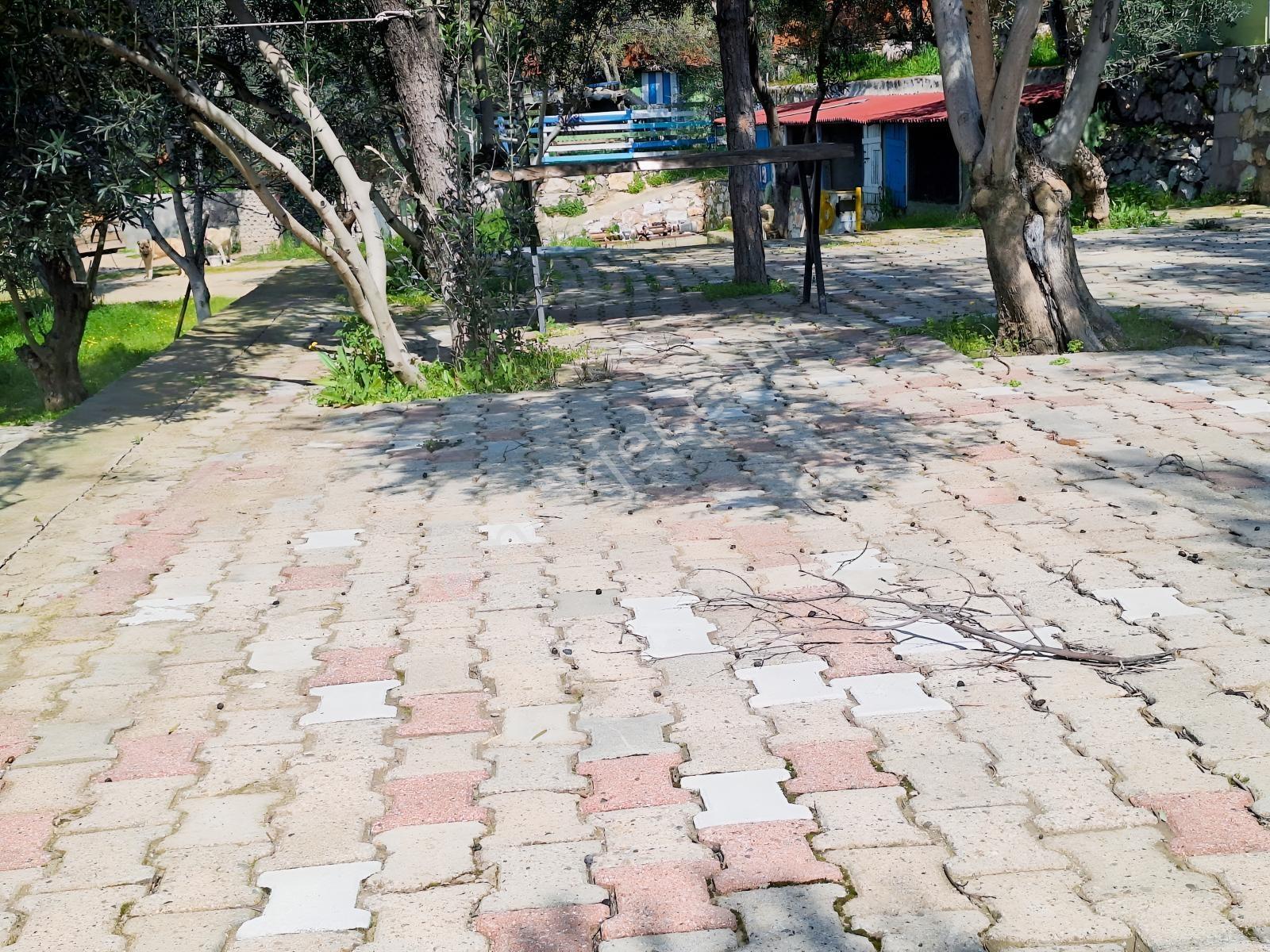 Gfa Gruptan Altınolukta Panoramik Deniz Manzaralı Doğal Alan — fotoğraf 21