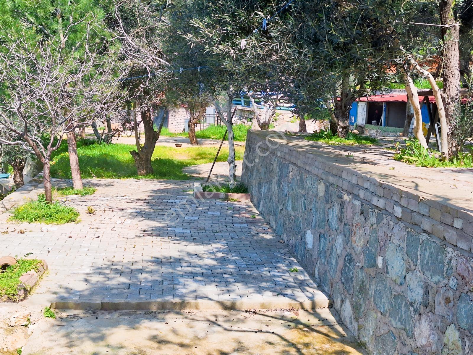 Gfa Gruptan Altınolukta Panoramik Deniz Manzaralı Doğal Alan — fotoğraf 23