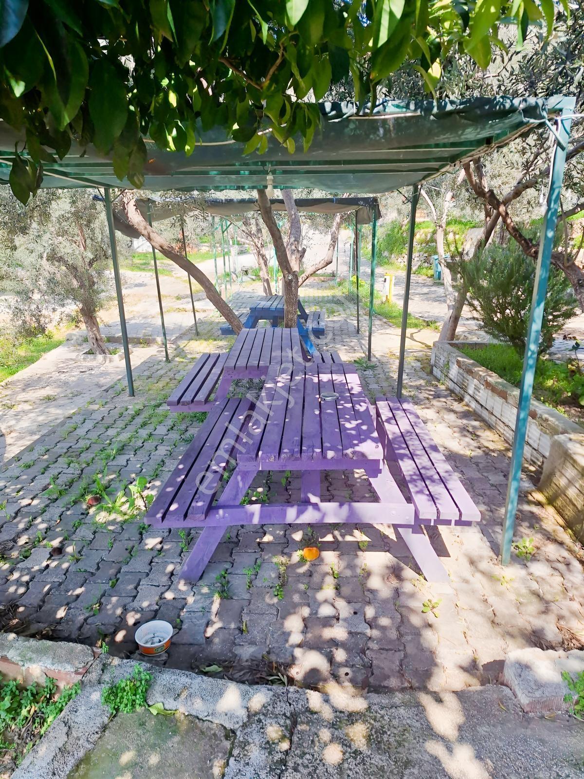 Gfa Gruptan Altınolukta Panoramik Deniz Manzaralı Doğal Alan — fotoğraf 24