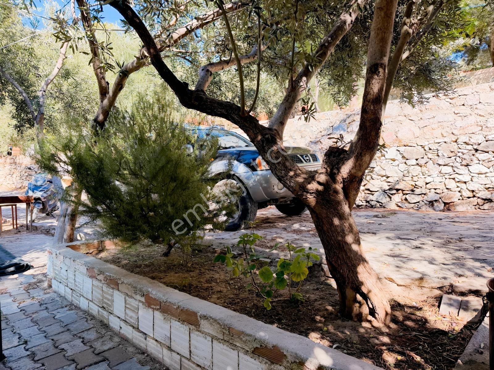 Gfa Gruptan Altınolukta Panoramik Deniz Manzaralı Doğal Alan — fotoğraf 27
