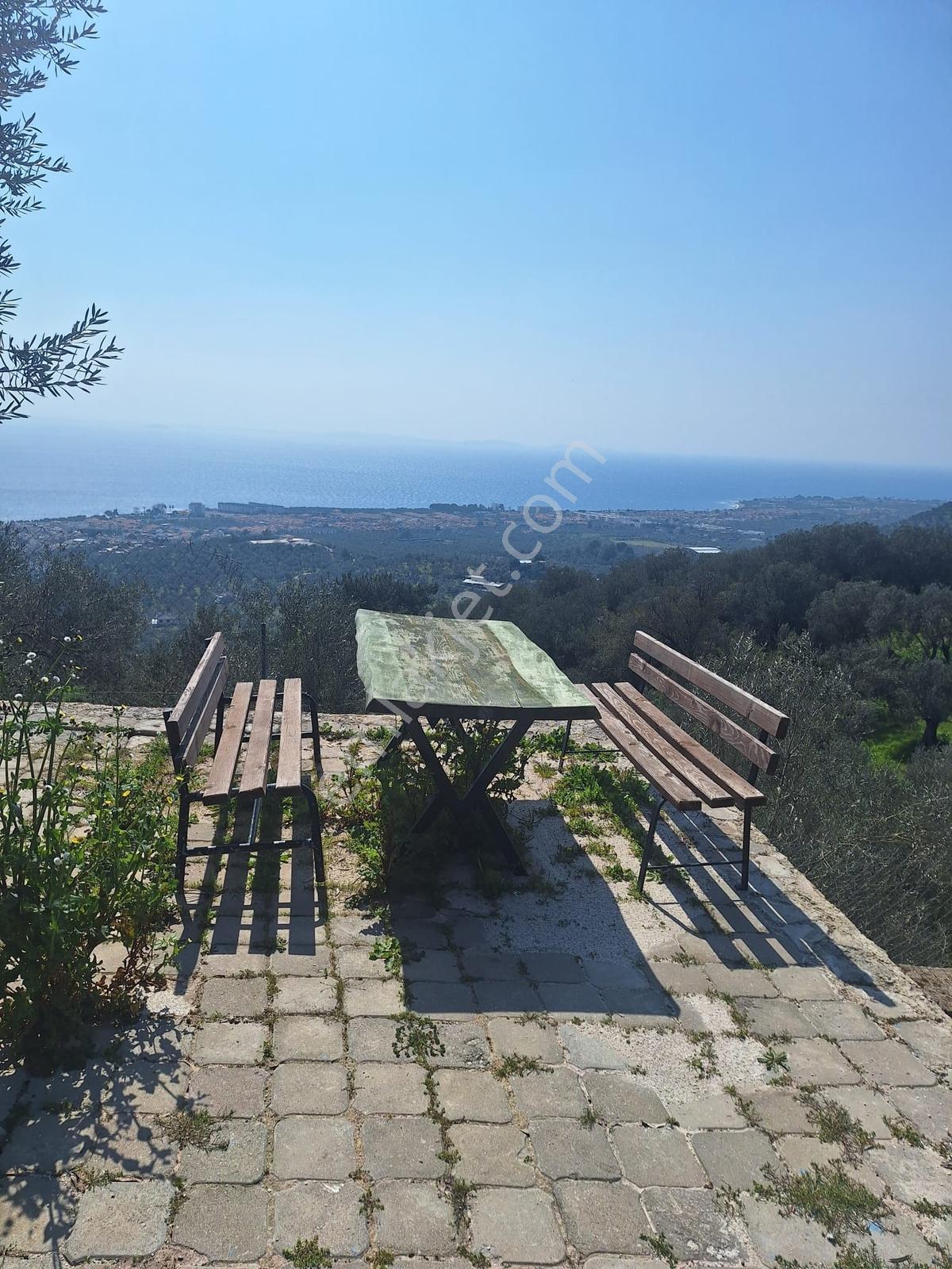 Gfa Gruptan Altınolukta Panoramik Deniz Manzaralı Doğal Alan — fotoğraf 30