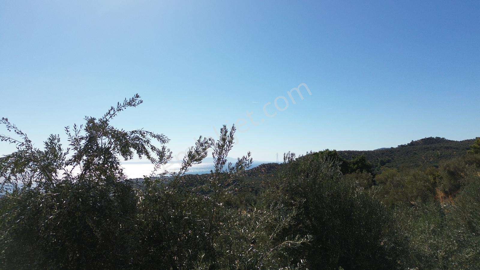 Gfa Gruptan Altınolukta Panoramik Deniz Manzaralı Doğal Alan — fotoğraf 31