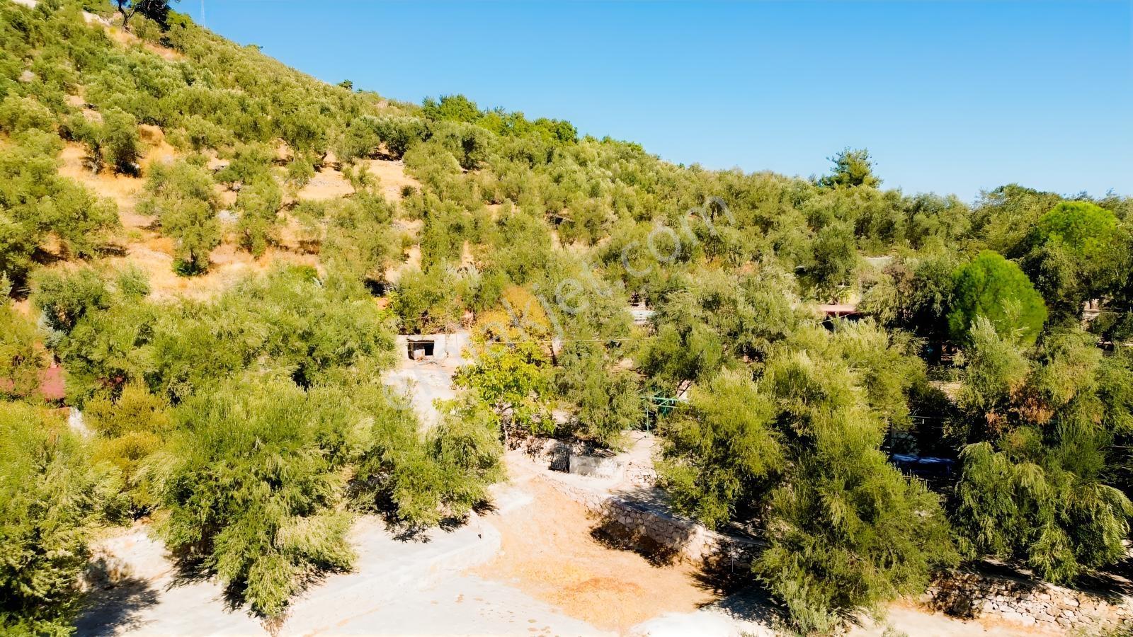 Gfa Gruptan Altınolukta Panoramik Deniz Manzaralı Doğal Alan — fotoğraf 32