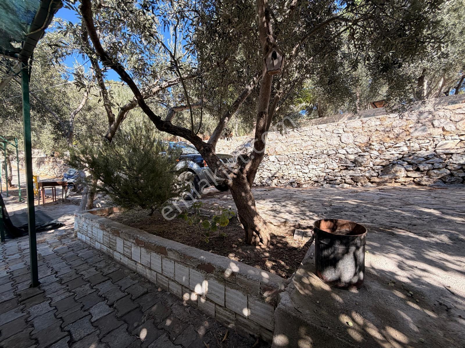 Gfa Gruptan Altınolukta Panoramik Deniz Manzaralı Doğal Alan — fotoğraf 33
