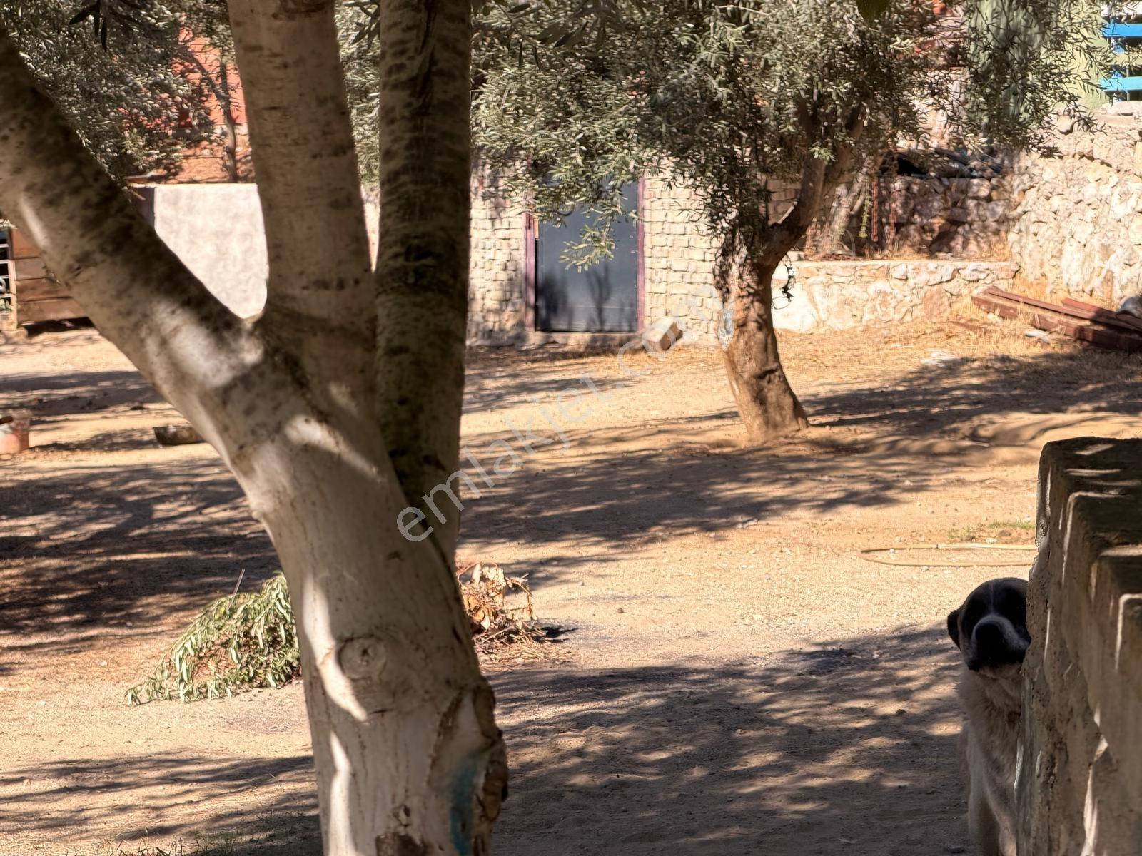 Gfa Gruptan Altınolukta Panoramik Deniz Manzaralı Doğal Alan — fotoğraf 35