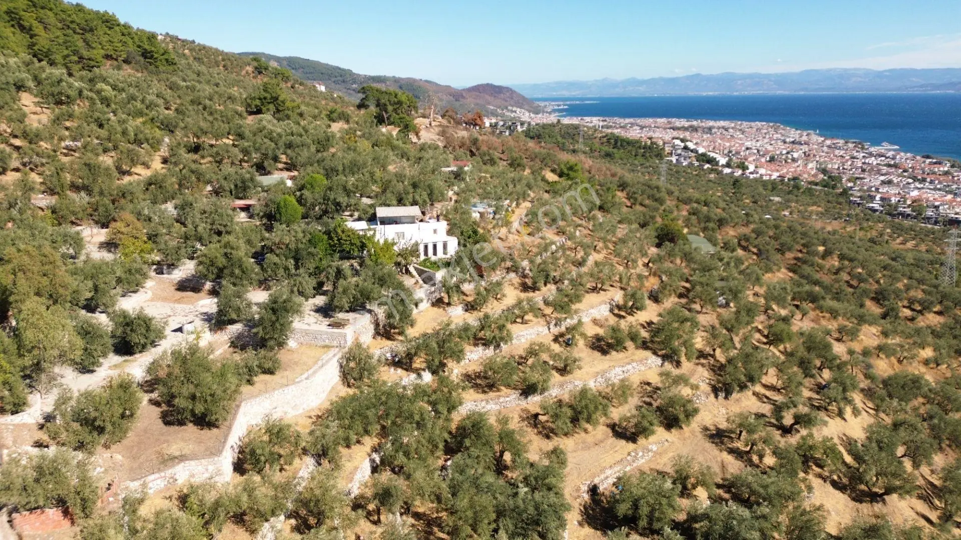 Gfa Grup’tan Altınolukta Panoramik Deniz Manzaralı Doğal Ruhsatlı Bahçe — fotoğraf 2