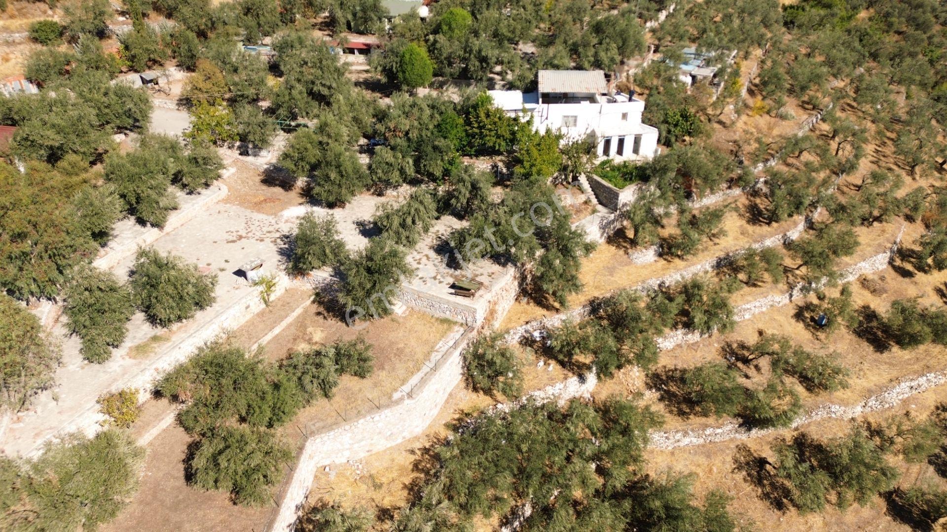 Gfa Grup’tan Altınolukta Panoramik Deniz Manzaralı Doğal Ruhsatlı Bahçe — fotoğraf 6