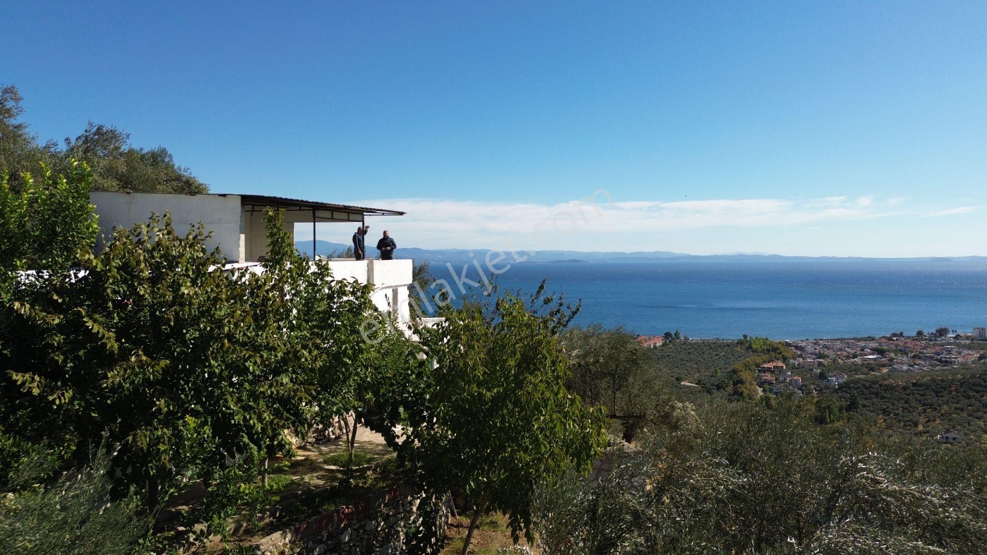 Gfa Grup’tan Altınolukta Panoramik Deniz Manzaralı Doğal Ruhsatlı Bahçe — fotoğraf 9