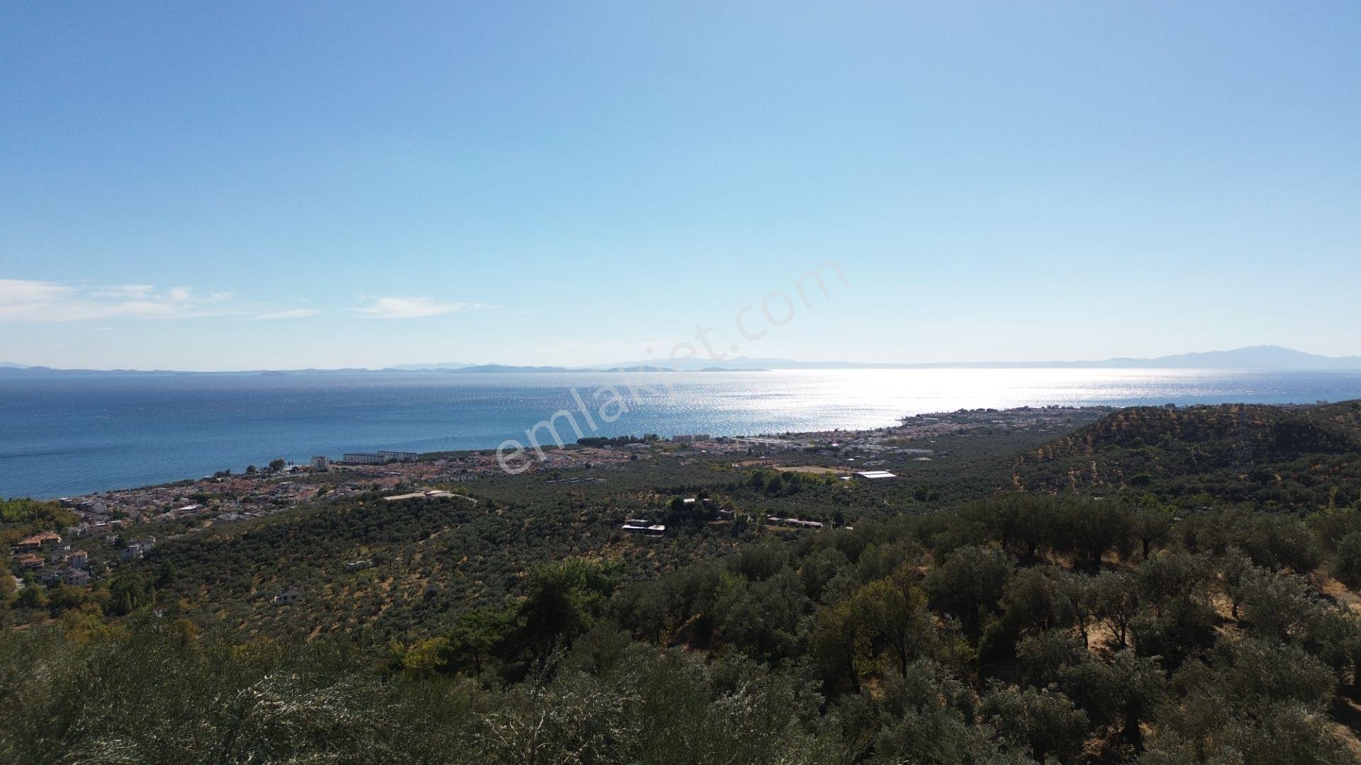 Gfa Grup’tan Altınolukta Panoramik Deniz Manzaralı Doğal Ruhsatlı Bahçe — fotoğraf 11