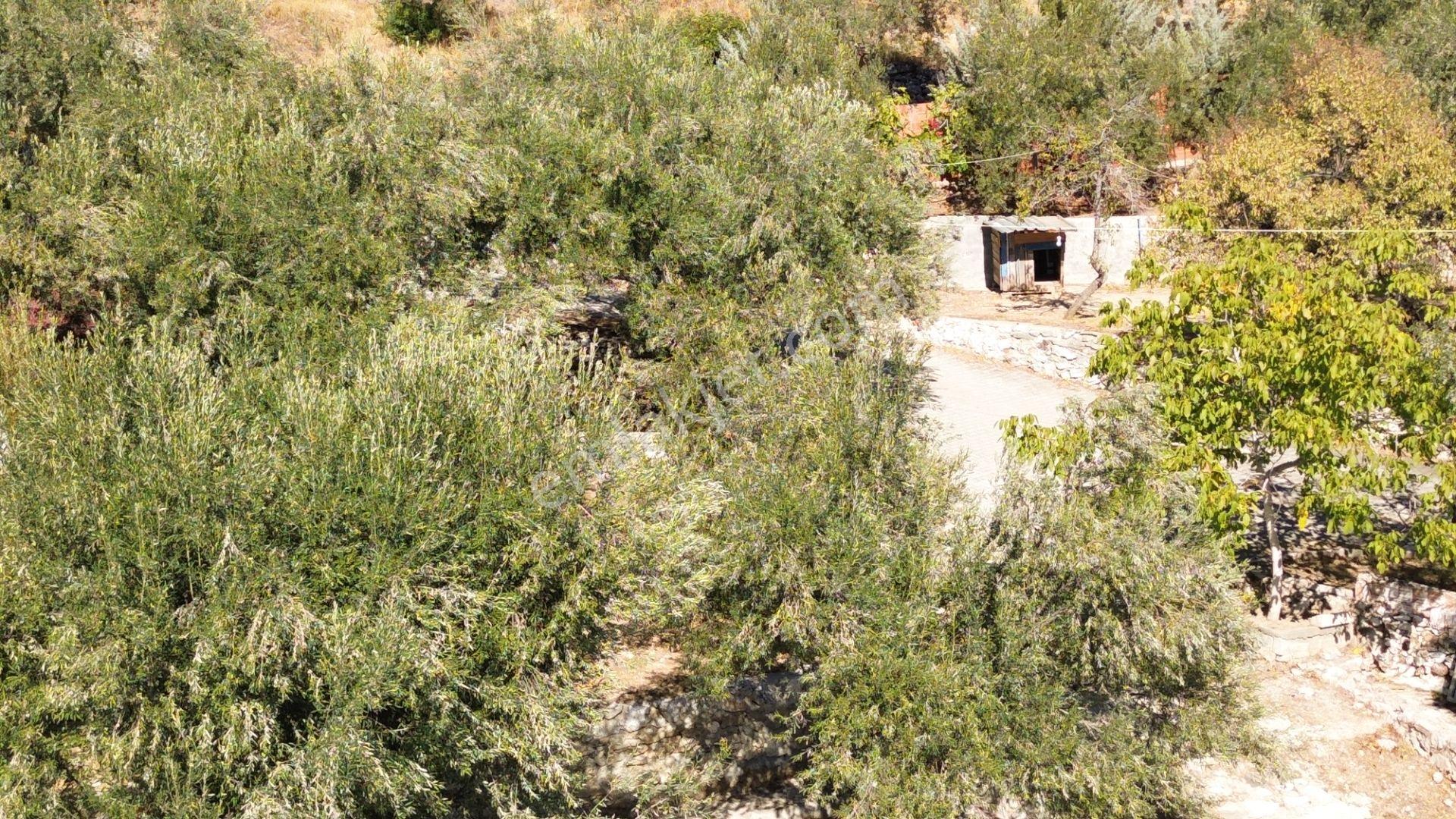 Gfa Grup’tan Altınolukta Panoramik Deniz Manzaralı Doğal Ruhsatlı Bahçe — fotoğraf 12