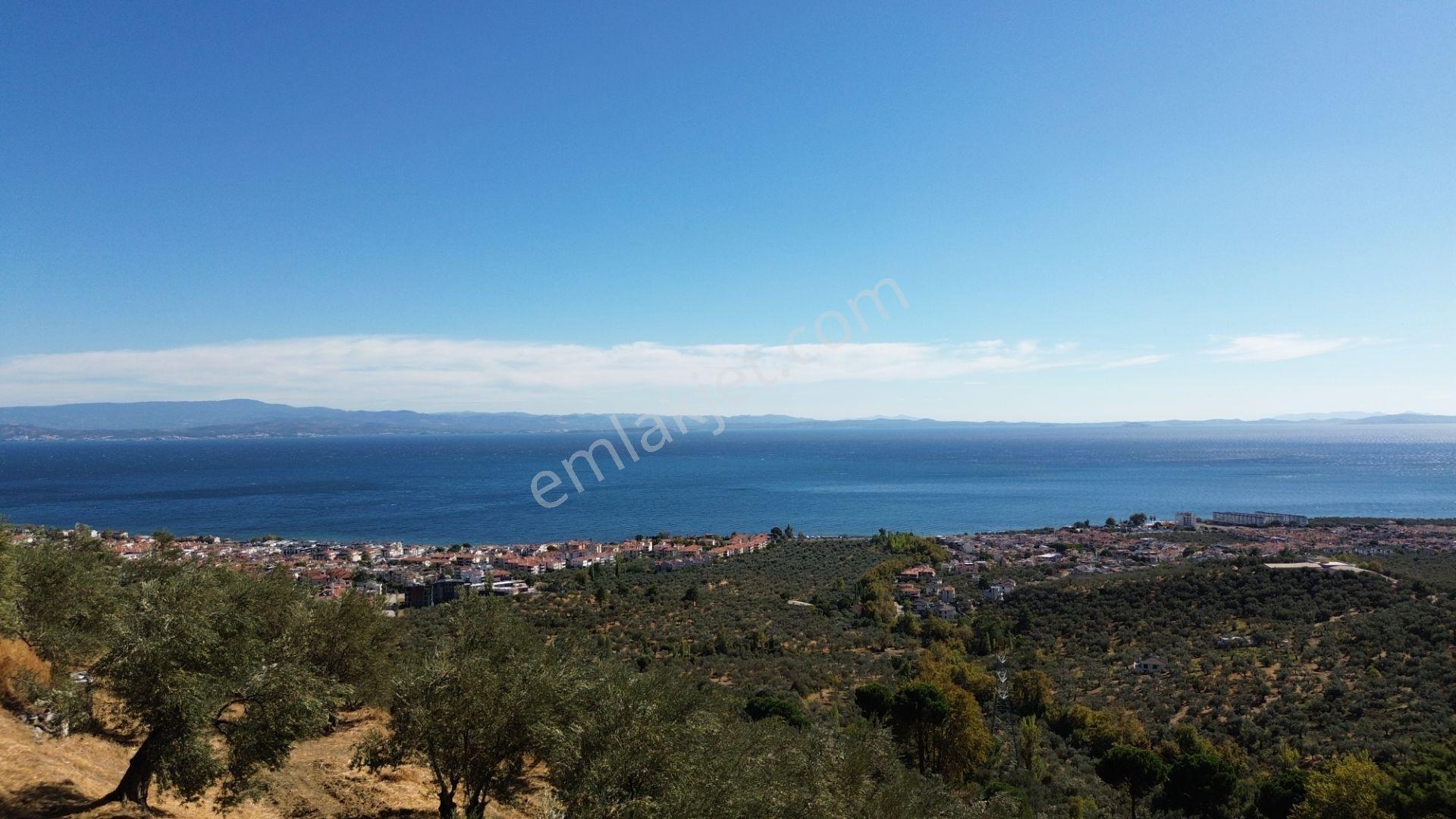 Gfa Grup’tan Altınolukta Panoramik Deniz Manzaralı Doğal Ruhsatlı Bahçe — fotoğraf 13