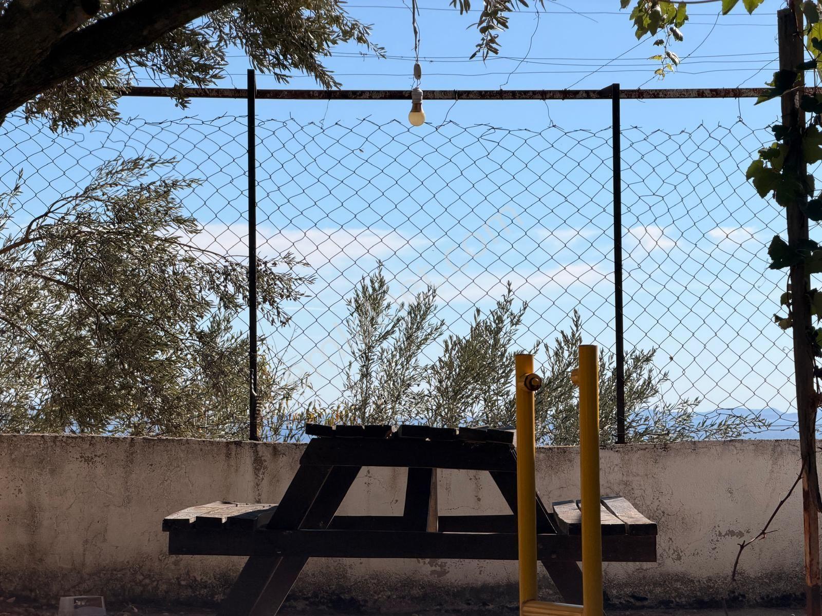 Gfa Grup’tan Altınolukta Panoramik Deniz Manzaralı Doğal Ruhsatlı Bahçe — fotoğraf 18