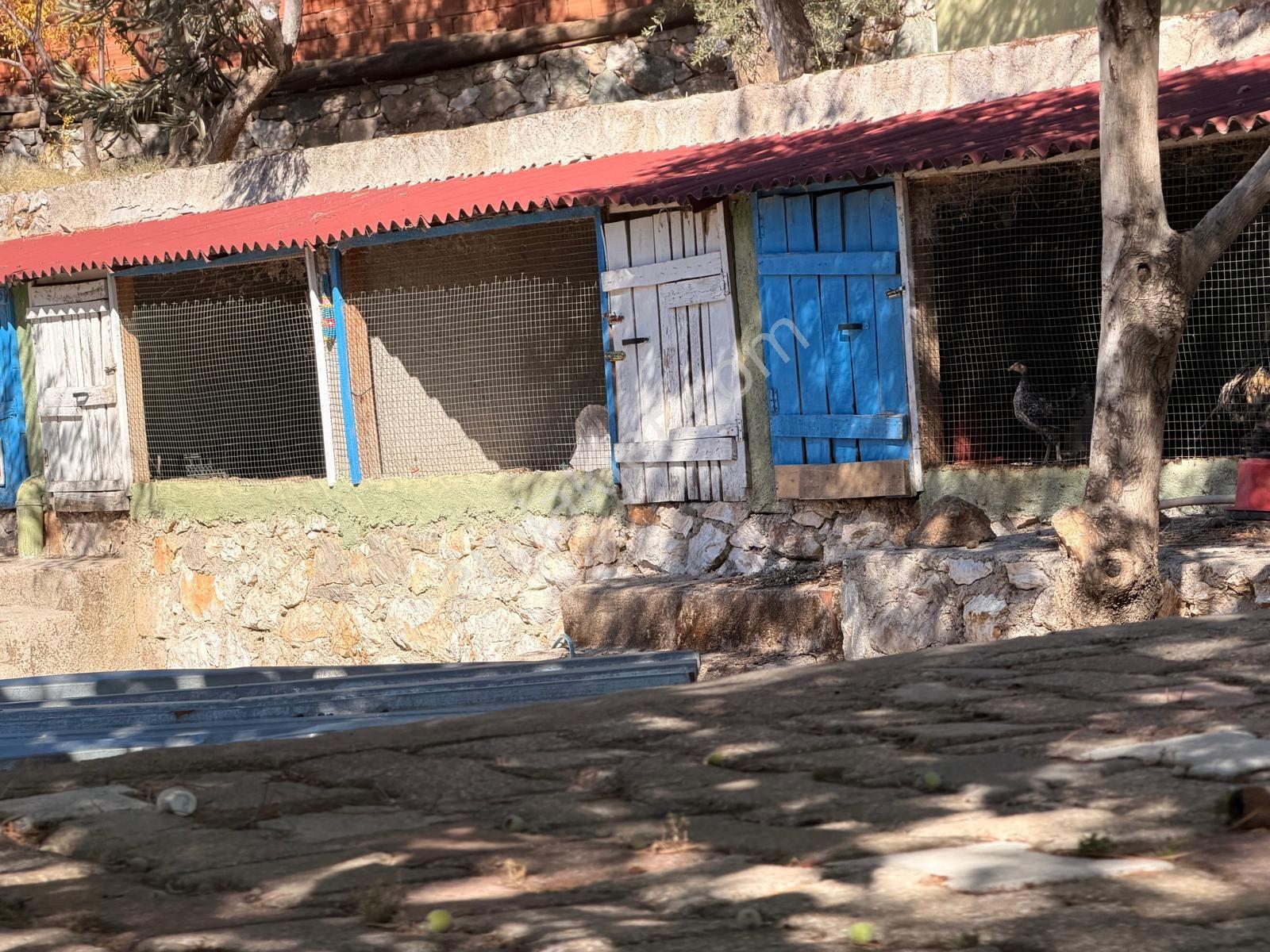 Gfa Grup’tan Altınolukta Panoramik Deniz Manzaralı Doğal Ruhsatlı Bahçe — fotoğraf 22