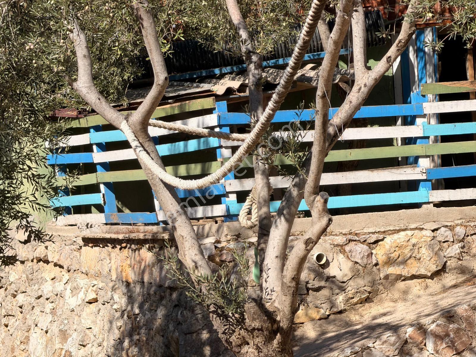 Gfa Grup’tan Altınolukta Panoramik Deniz Manzaralı Doğal Ruhsatlı Bahçe — fotoğraf 24