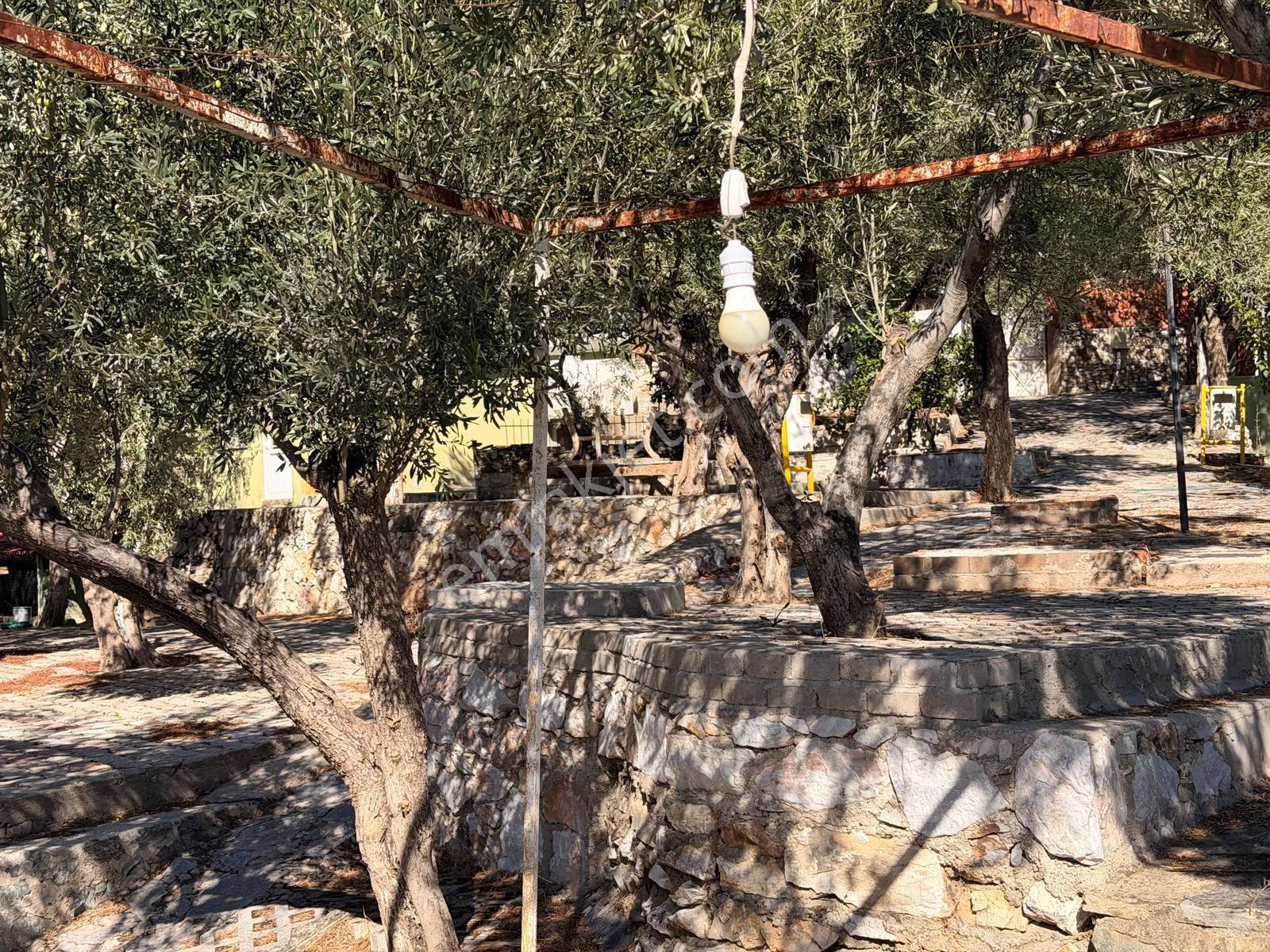 Gfa Grup’tan Altınolukta Panoramik Deniz Manzaralı Doğal Ruhsatlı Bahçe — fotoğraf 25