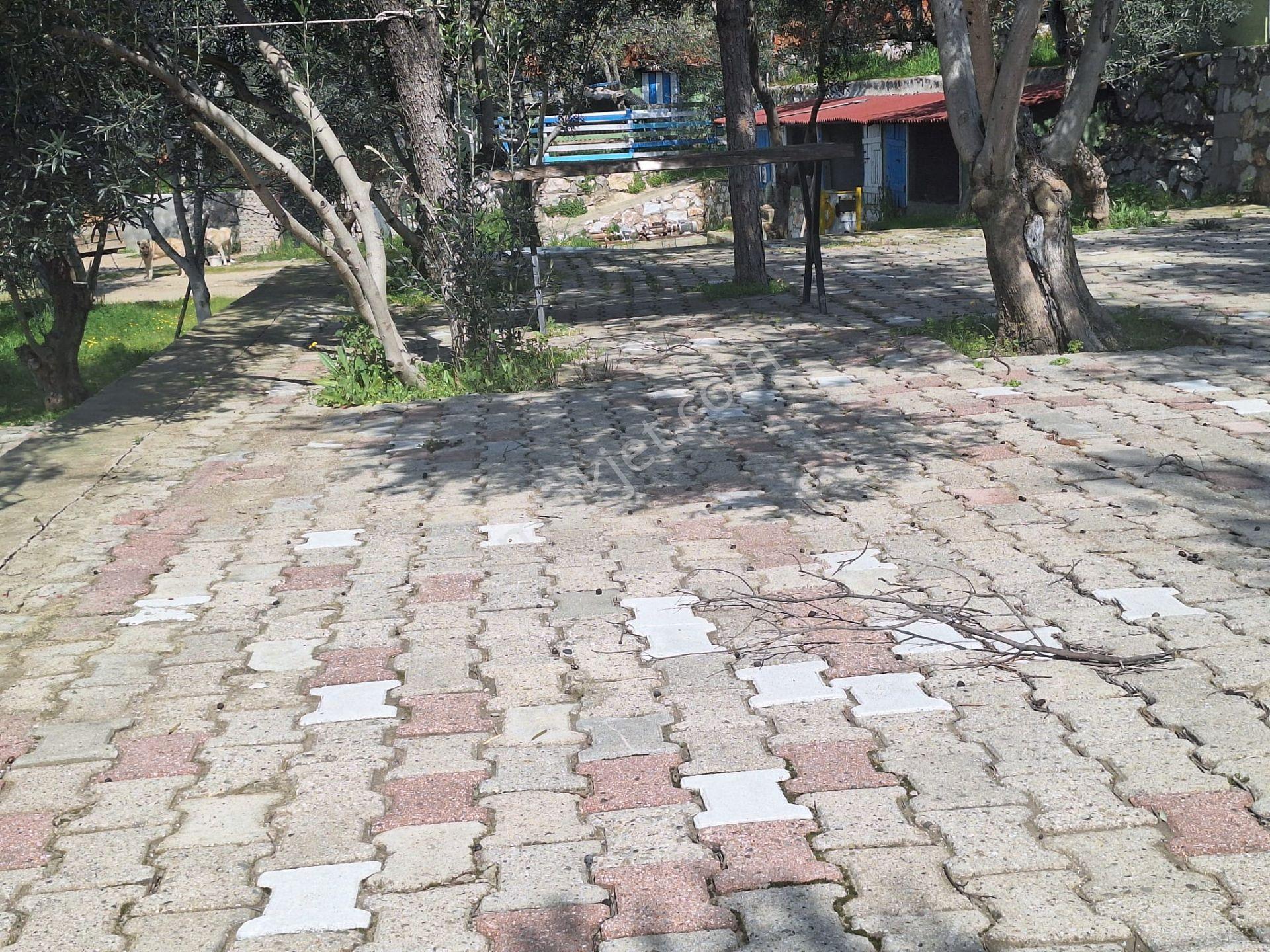 Gfa Grup’tan Altınolukta Panoramik Deniz Manzaralı Doğal Ruhsatlı Bahçe — fotoğraf 27