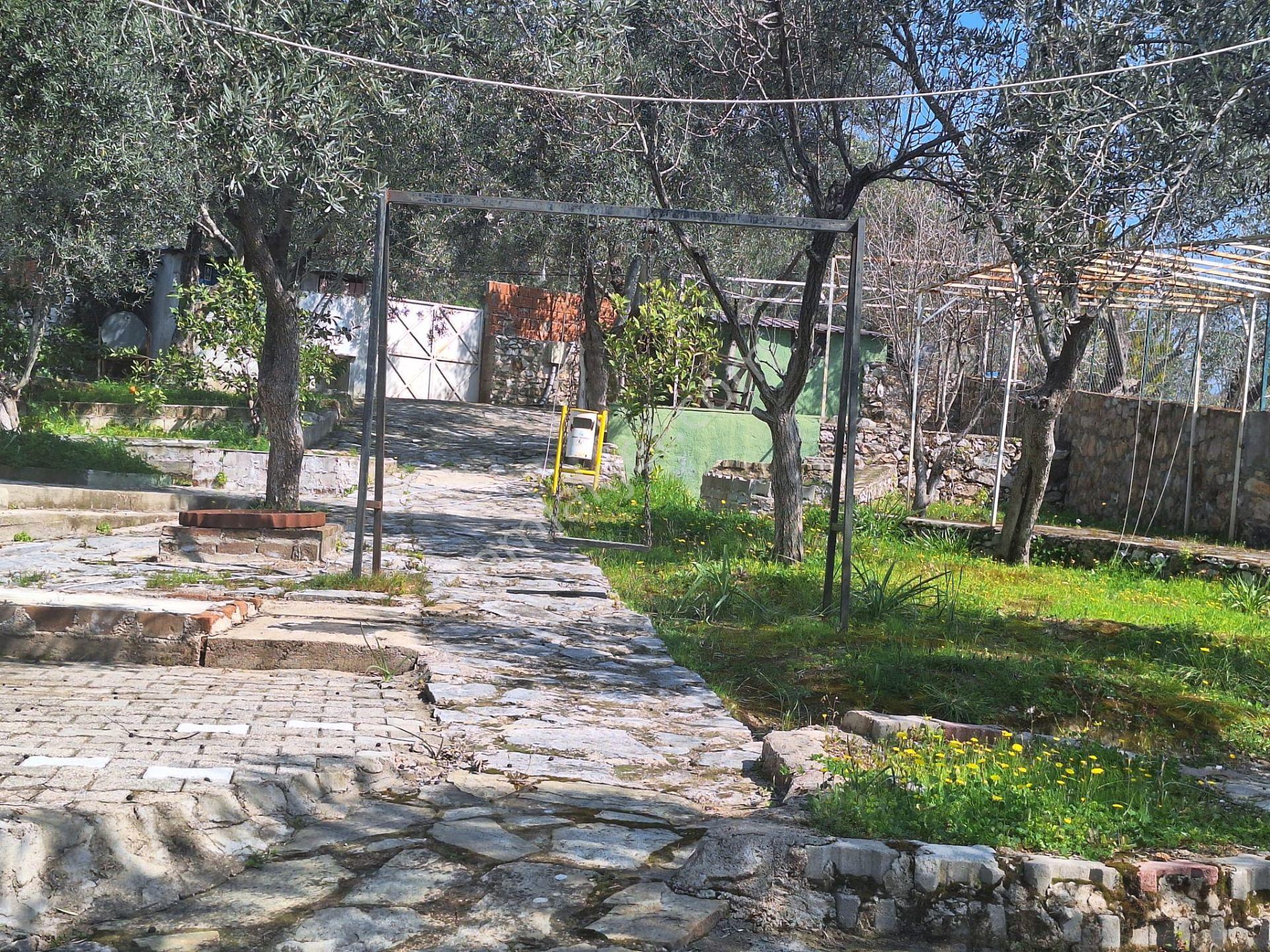 Gfa Grup’tan Altınolukta Panoramik Deniz Manzaralı Doğal Ruhsatlı Bahçe — fotoğraf 28