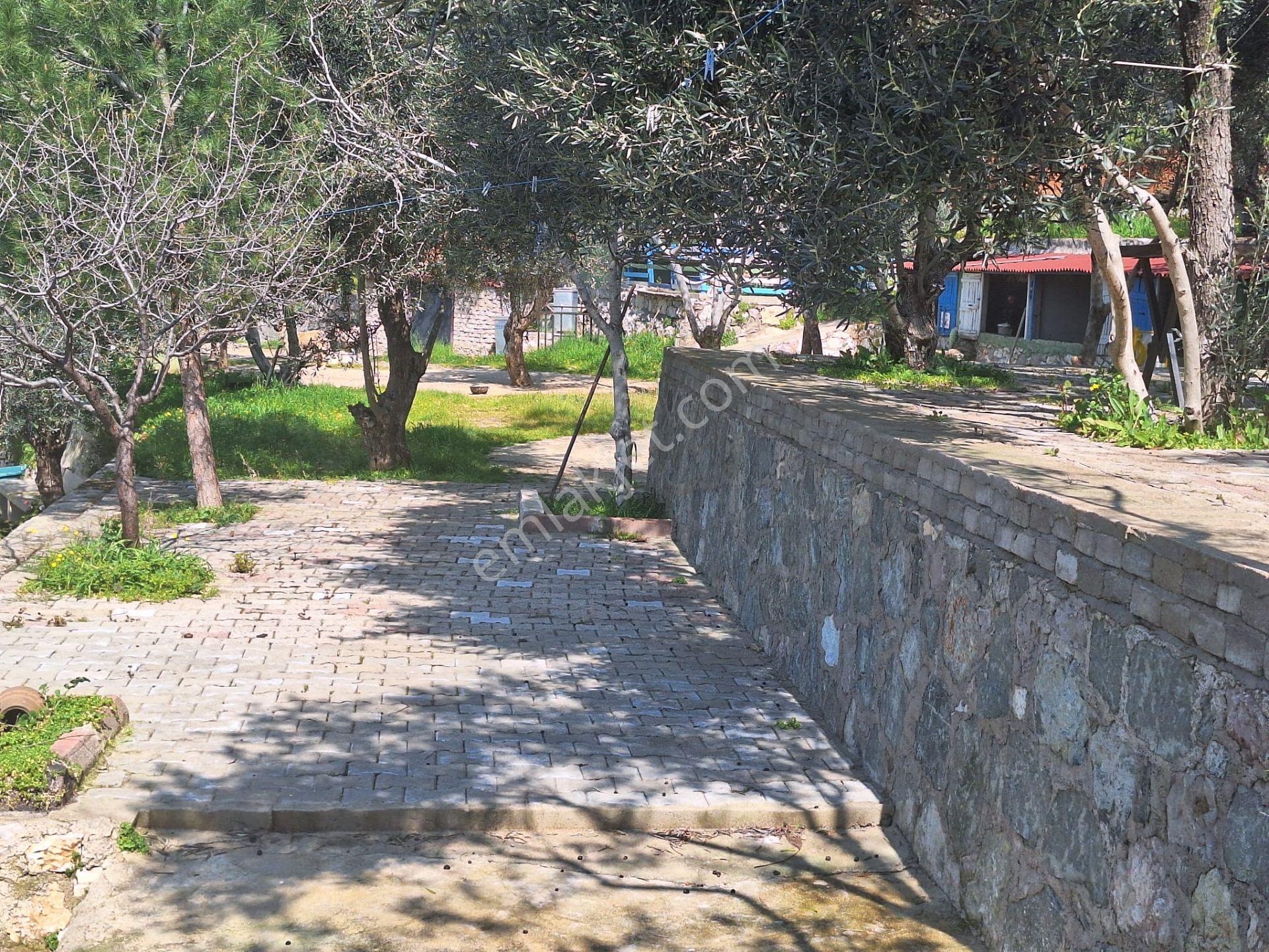 Gfa Grup’tan Altınolukta Panoramik Deniz Manzaralı Doğal Ruhsatlı Bahçe — fotoğraf 29