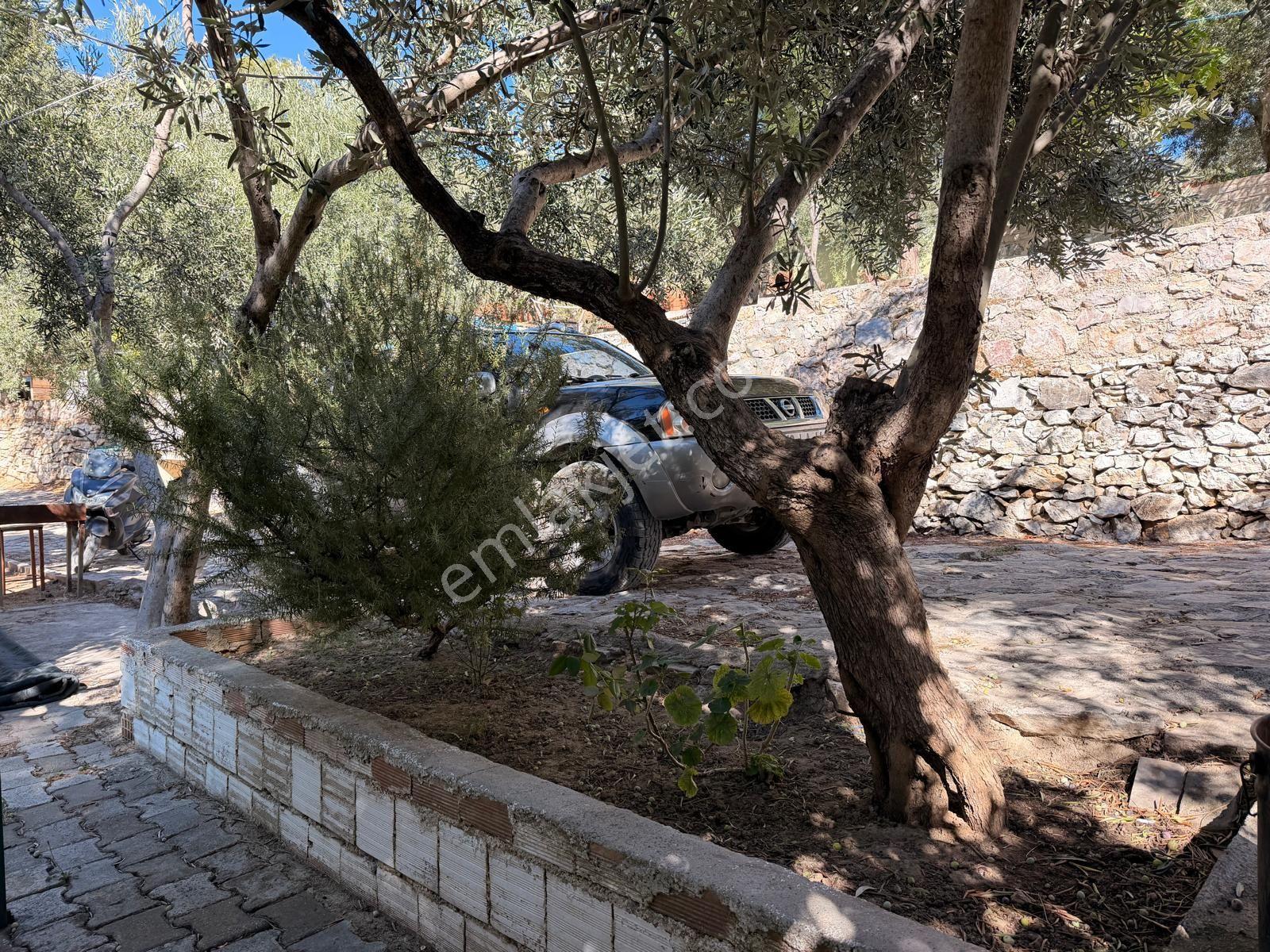 Gfa Grup’tan Altınolukta Panoramik Deniz Manzaralı Doğal Ruhsatlı Bahçe — fotoğraf 33