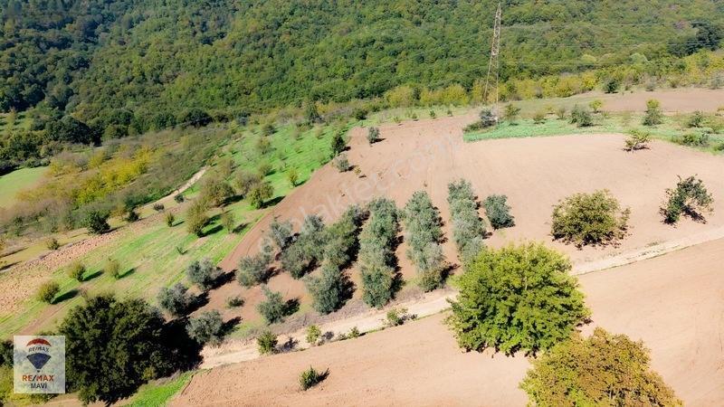 Serdivan Aşağıdereköyde Göl Manzaralı 3.984 M² Yatırımlık Tarla