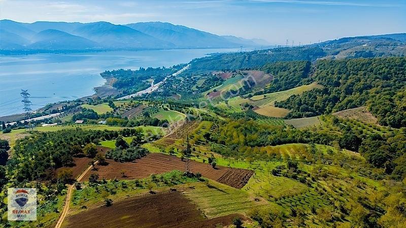 Serdivan Aşağıdereköyde Göl Manzaralı 3.984 M² Yatırımlık Tarla — fotoğraf 2
